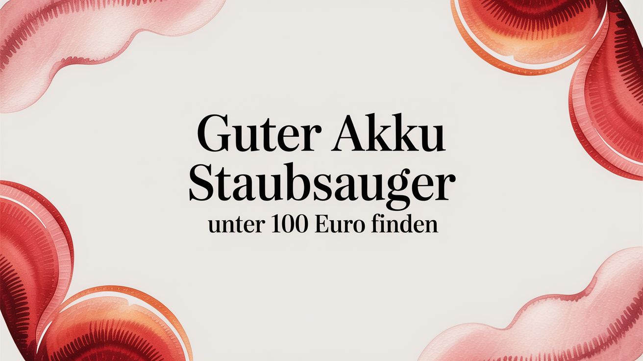 Guter Akku Staubsauger unter 100 Euro finden