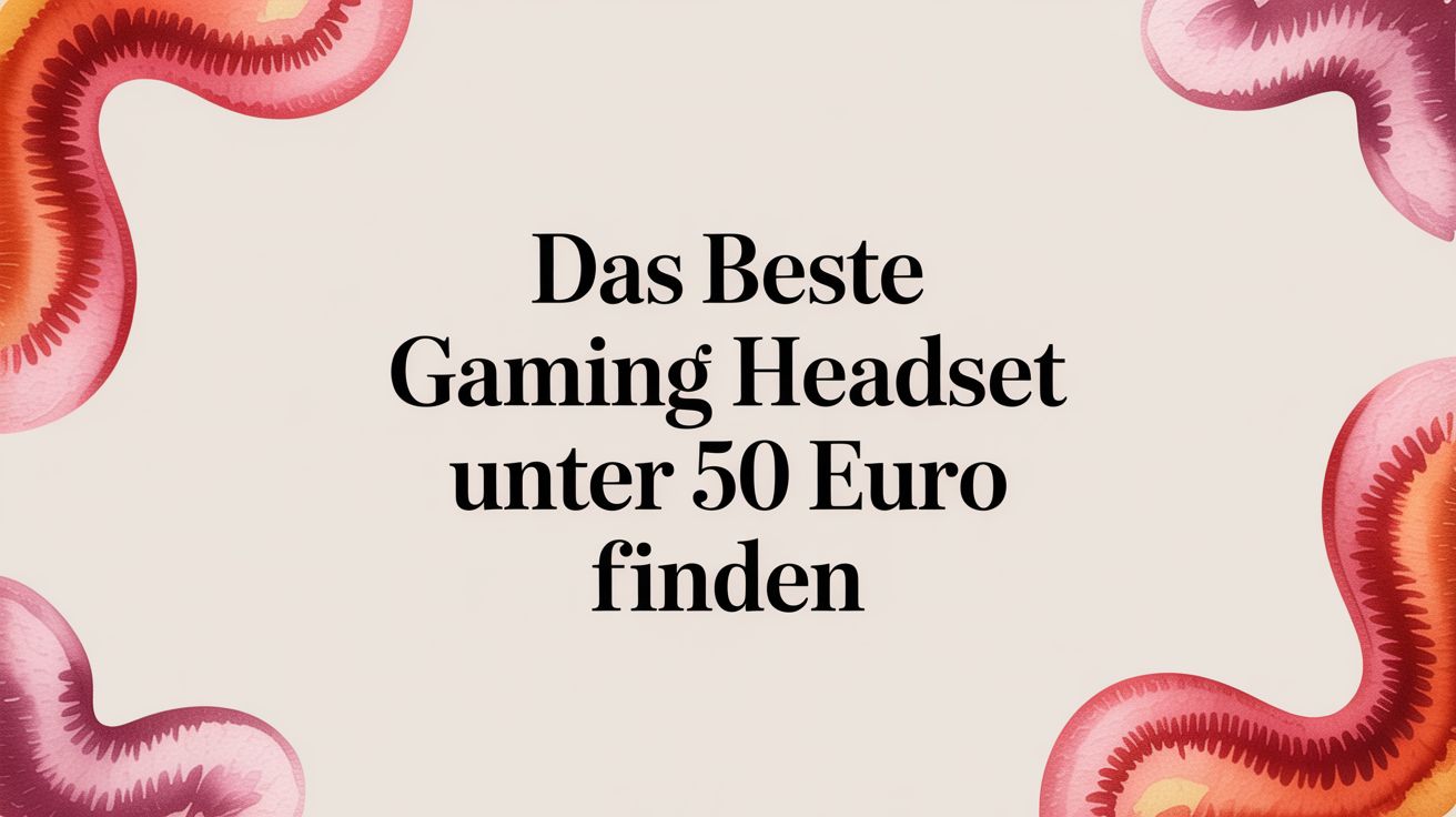 Das beste Gaming Headset unter 50 Euro finden