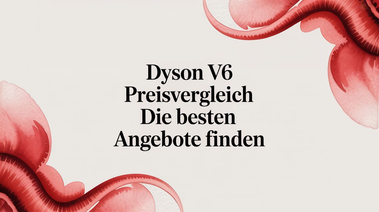 Dyson v6 preisvergleich die besten angebote finden
